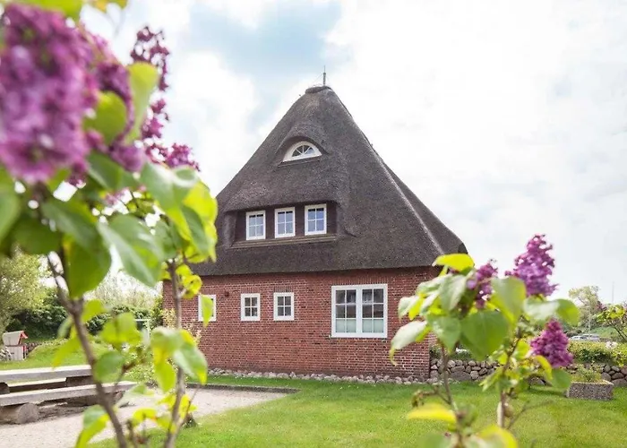 Ringelblume Apartamento